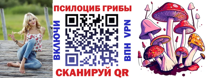 Купить закладки  Кубинка  Псилоцибиновые грибы Cubensis 